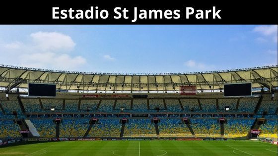 estadio st james park