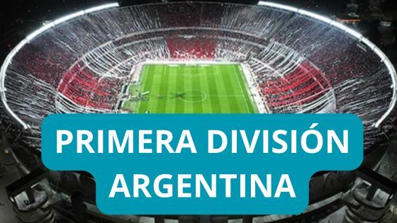 estadios primera divisin en argentina